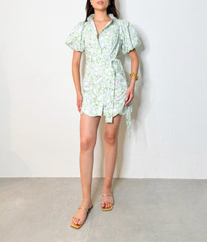 Lindsay Dress in Green
