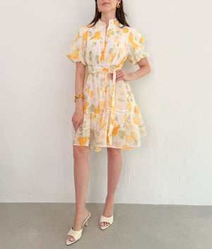 Viola Dress in Lemon