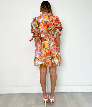 Lana Dress in Multi