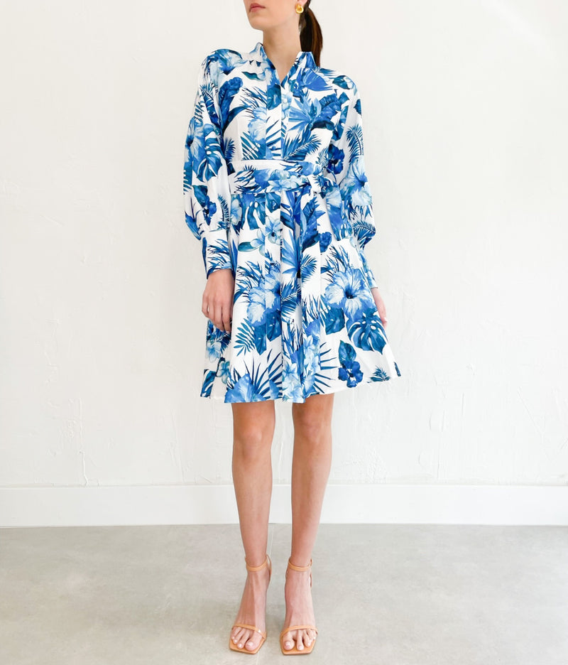 Nadine Dress in Blue